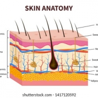 Skin type changes